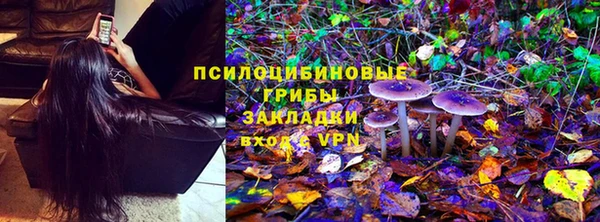 ALPHA PVP Корсаков