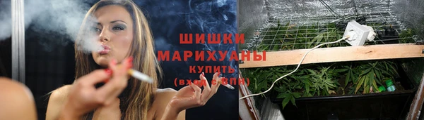 ALPHA PVP Корсаков
