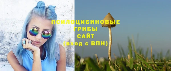 ALPHA PVP Корсаков