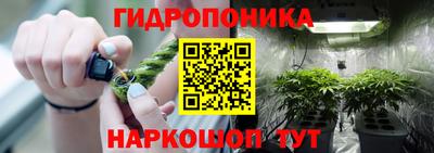 сатива Нягань