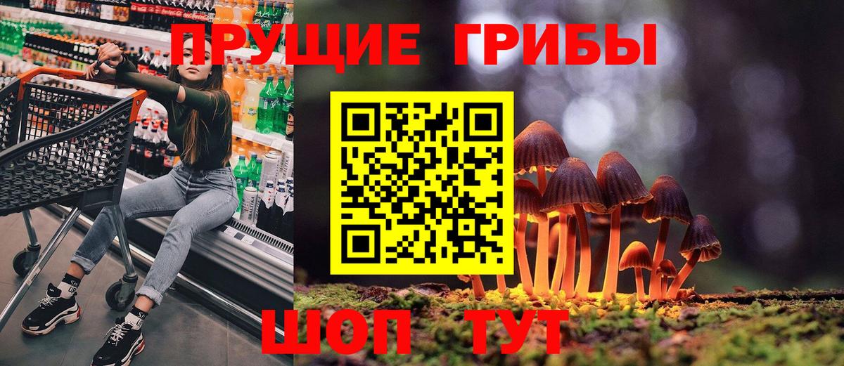 Псилоцибиновые грибы Psilocybe  где найти   Сертолово  Вход с VPN 